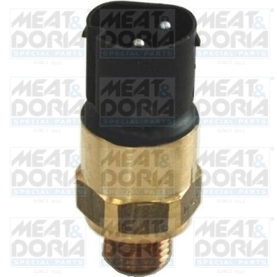 Temperature Switch, radiator fan